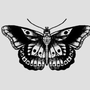 Meet your Posher, Sidney